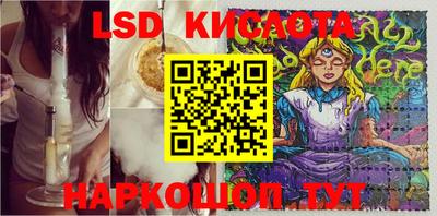 ПСИЛОЦИБИНОВЫЕ ГРИБЫ Кудрово