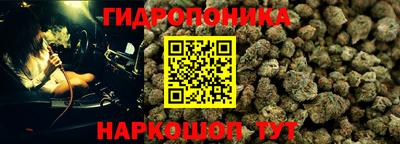 ПСИЛОЦИБИНОВЫЕ ГРИБЫ Кудрово