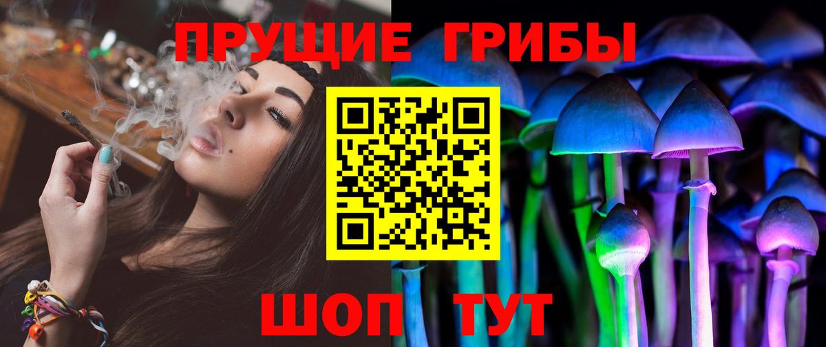 Галлюциногенные грибы Psilocybe Анапа